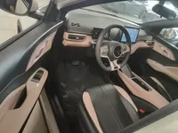 BYD Seagull 2024 (8000 км)