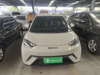 BYD Seagull 2024 (8000 км)