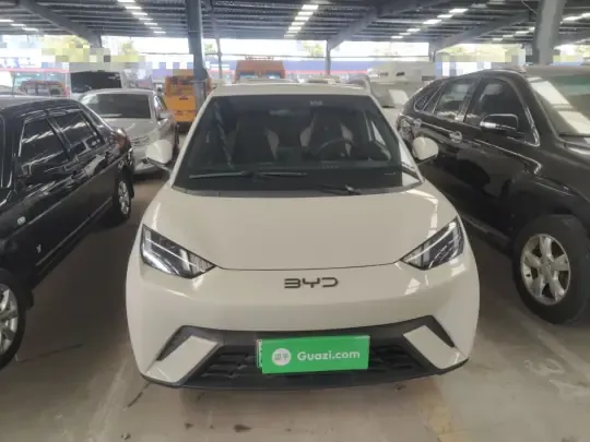 BYD Seagull 2024 (8000 км)