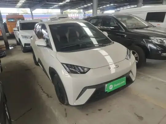 BYD Seagull 2024 (8000 км)