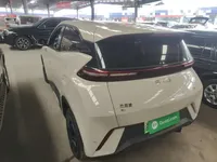 BYD Seagull 2024 (8000 км)