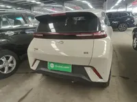BYD Seagull 2024 (8000 км)
