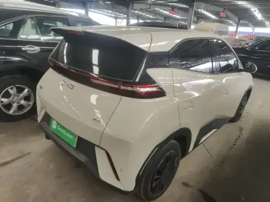 BYD Seagull 2024 (8000 км)
