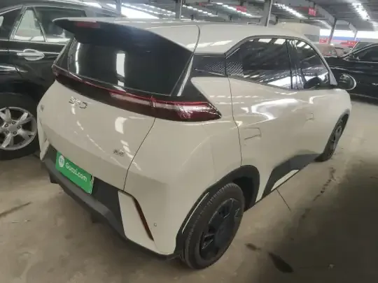 BYD Seagull 2024 (8000 км)