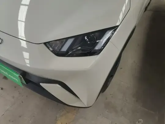 BYD Seagull 2024 (8000 км)