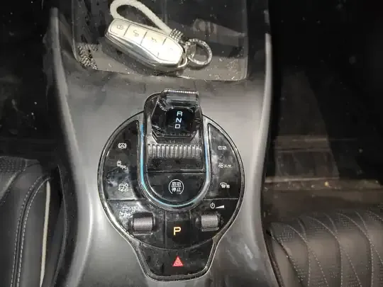 BYD Seal 2024 (38500 км)