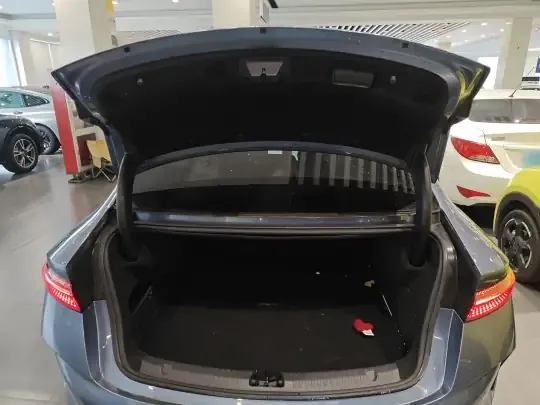BYD Seal 2024 (38500 км)