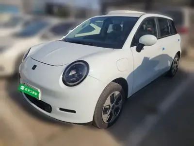 JAC Yiwei 3 2024 (100 км)
