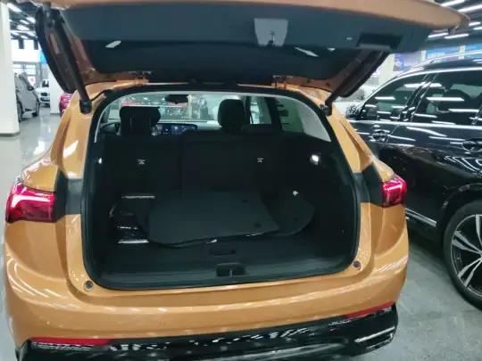 Buick Envision 2024 (1600 км)
