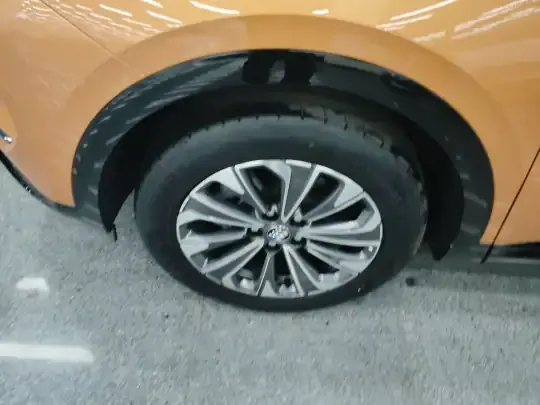 Buick Envision 2024 (1600 км)