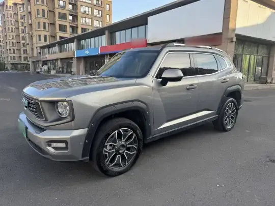 Haval H Dog New Energy 2024 (42400 км)