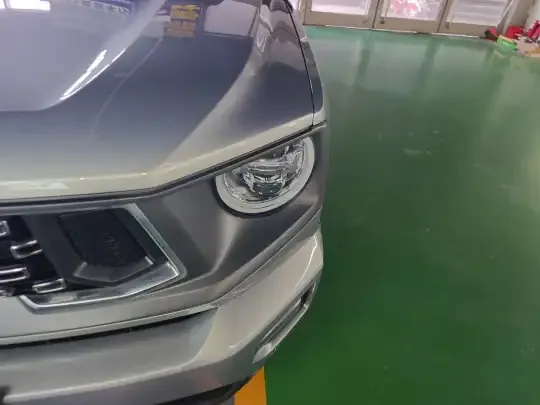 Haval H Dog New Energy 2024 (42400 км)