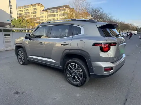 Haval H Dog New Energy 2024 (42400 км)