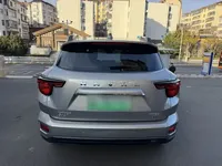 Haval H Dog New Energy 2024 (42400 км)
