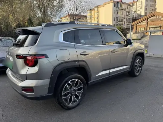 Haval H Dog New Energy 2024 (42400 км)