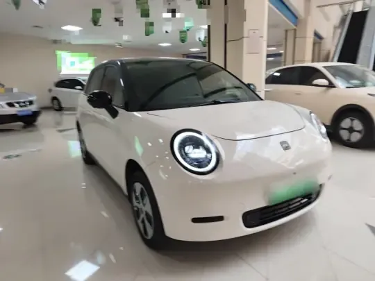 JAC Yiwei 3 2024 (1000 км)