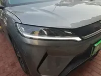 BYD Yuan UP 2024 (15700 км)