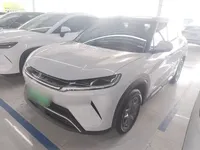 BYD Yuan UP 2024 (11600 км)