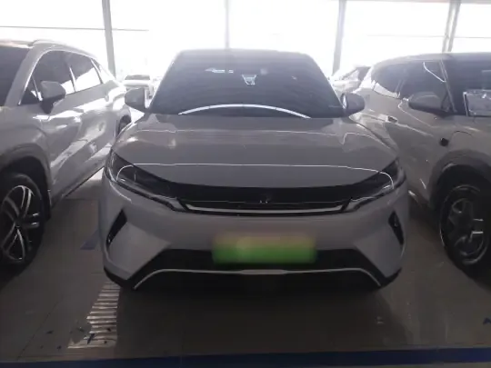 BYD Yuan UP 2024 (11600 км)