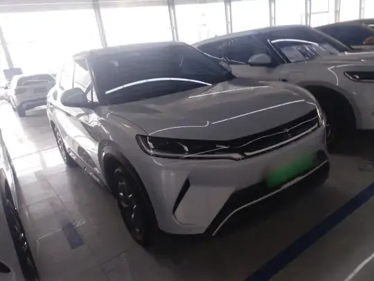 BYD Yuan UP 2024 (11600 км)