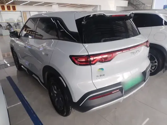 BYD Yuan UP 2024 (11600 км)