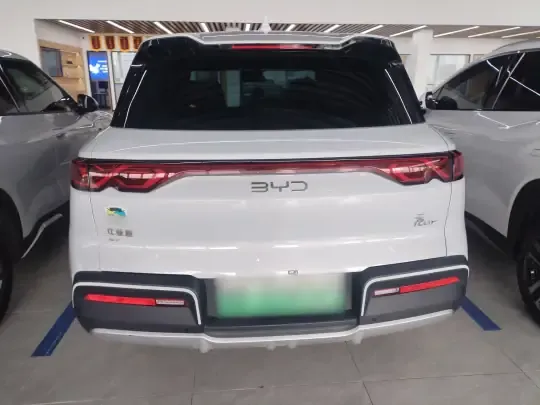 BYD Yuan UP 2024 (11600 км)