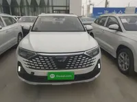 Jetta VS7 2024 (8400 км)