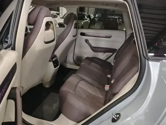 Leapmotor C11 2024 (23700 км)