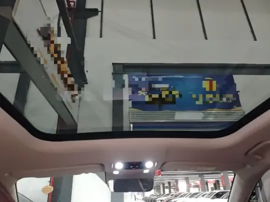 Leapmotor C11 2024 (23700 км)