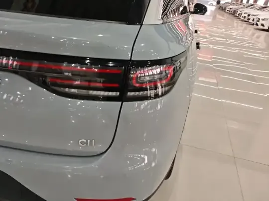 Leapmotor C11 2024 (23700 км)