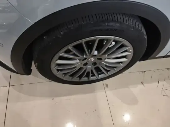 Leapmotor C11 2024 (23700 км)