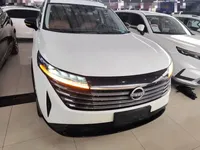 Nissan Pathfinder 2024 (8800 км)