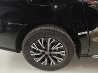 Hongqi HQ9 PHEV 2024 (100 км)