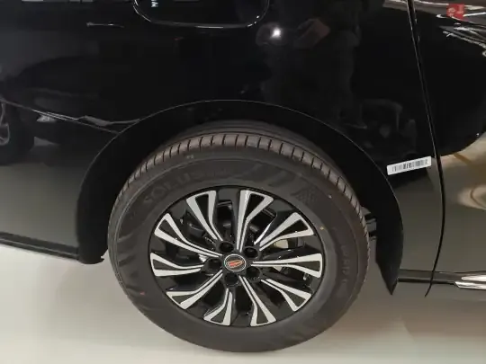 Hongqi HQ9 PHEV 2024 (100 км)