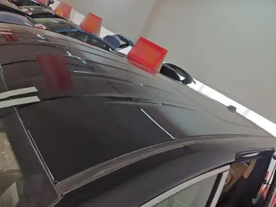 Hongqi HQ9 PHEV 2024 (100 км)