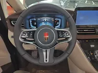 Hongqi HQ9 PHEV 2024 (100 км)