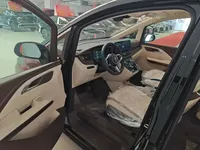 Hongqi HQ9 PHEV 2024 (100 км)
