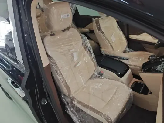 Hongqi HQ9 PHEV 2024 (100 км)