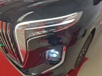 Hongqi HQ9 PHEV 2024 (100 км)
