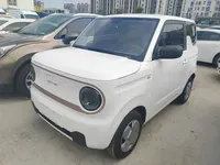 Geely Galaxy Panda 2024 (17000 км)