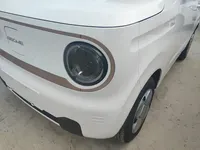 Geely Galaxy Panda 2024 (17000 км)