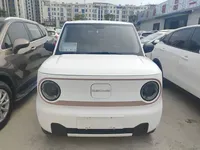 Geely Galaxy Panda 2024 (17000 км)