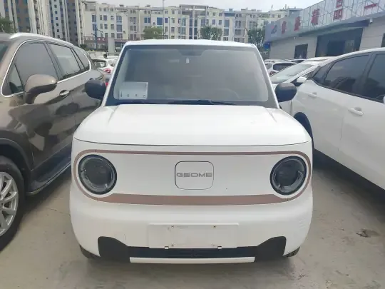 Geely Galaxy Panda 2024 (17000 км)