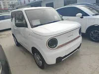 Geely Galaxy Panda 2024 (17000 км)