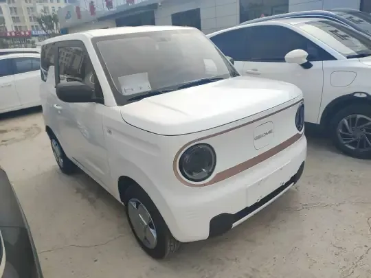 Geely Galaxy Panda 2024 (17000 км)