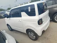 Geely Galaxy Panda 2024 (17000 км)