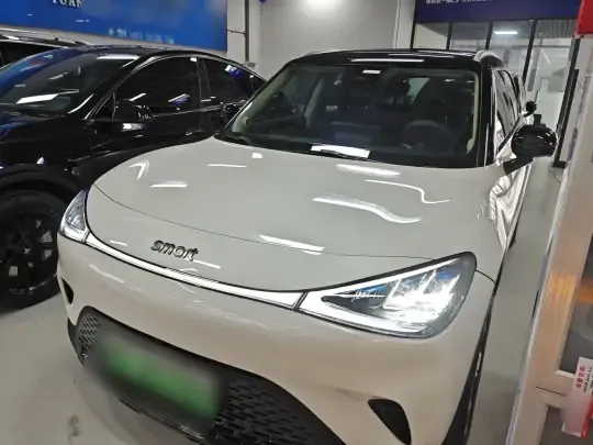 smart #1 2024 (9800 км)