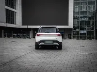 smart #1 2024 (9800 км)