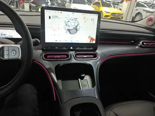 smart #1 2024 (9800 км)