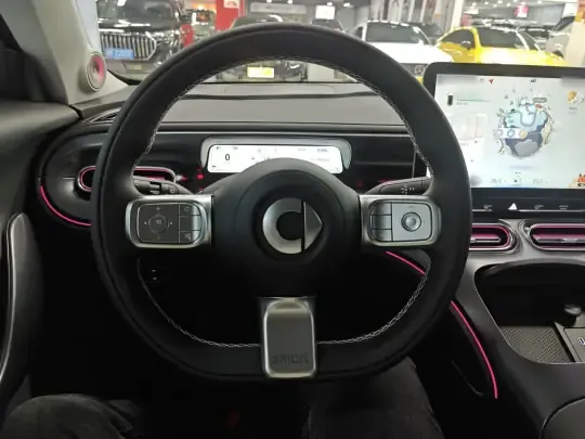 smart #1 2024 (9800 км)